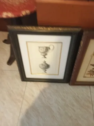 2 Cuadros Decorativos plantas naturales