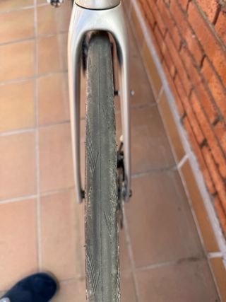 Bici Carretera Trek Émonda SL 5 Disc talla 52