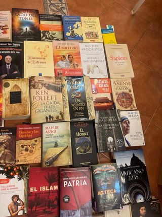 Mas de 60l ibros variados de rodo tipo.