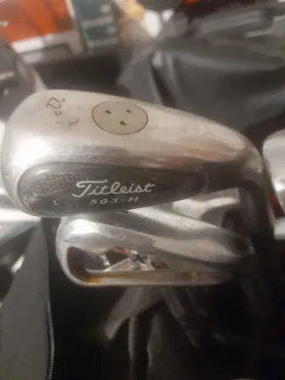 Bolsa y palos de golf