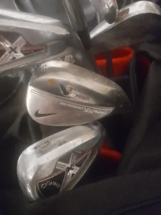 Bolsa y palos de golf