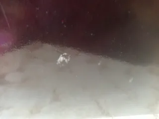 Vinilo Duncan Dhu Canciones