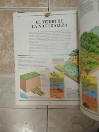 Dime cómo es la naturaleza