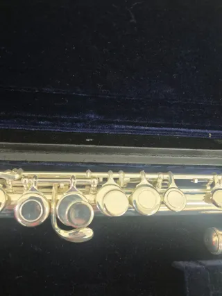 Flauta para niños con estuche