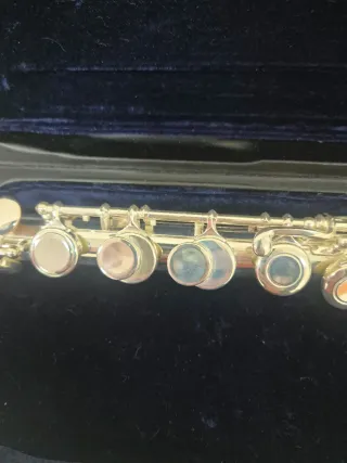 Flauta para niños con estuche