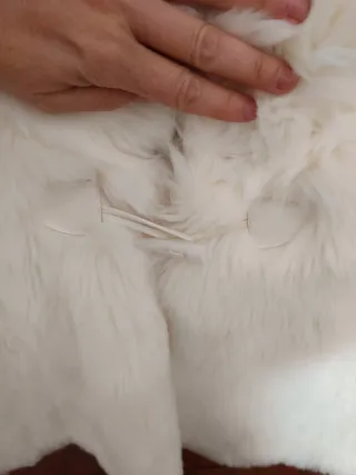 Capa pelo sintético blanco talla única