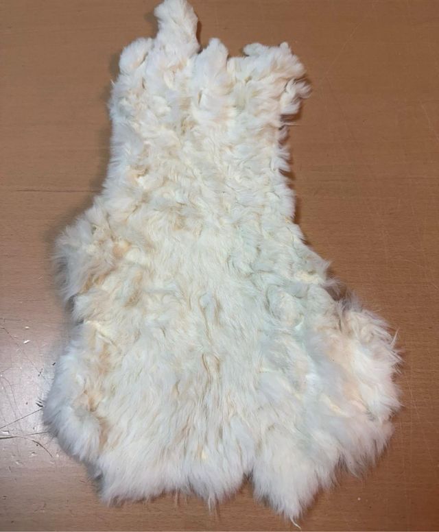 Pelo de conejo natural