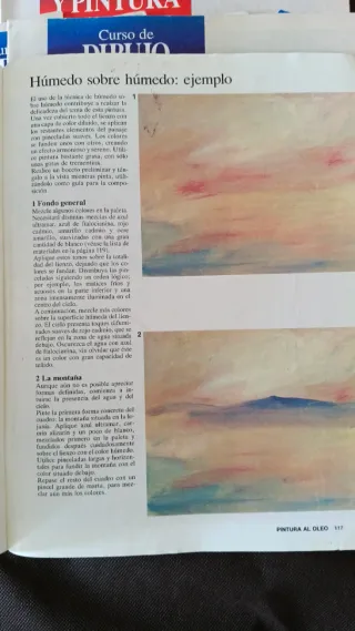 Curso de dibujo y pintura Fascículos didácticos
