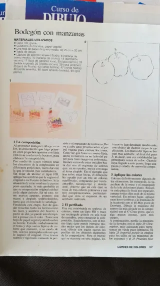 Curso de dibujo y pintura Fascículos didácticos