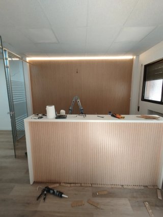 Pladur para oficinas y locales Techos registrables
