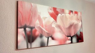 Cuadro Flores Rosas y Rojas