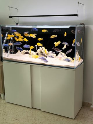 Acuario 270L completo