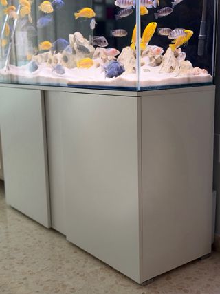 Acuario 270L completo