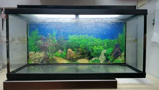 ACUARIO DE 100 LITROS.