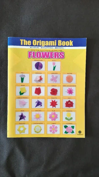 The origami book