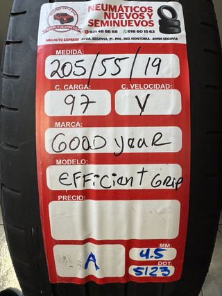 Neumático Goodyear Efficient Grip 205/55/19