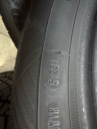 Neumático Goodyear Efficient Grip 205/55/19