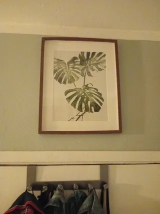 Cuadro hojas verdes y marco marrón