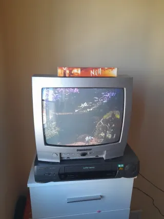 VHS Panasonic + TV