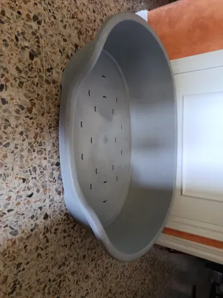 Cama rígida para perro