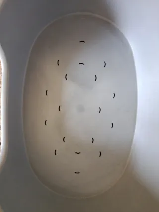 Cama rígida para perro