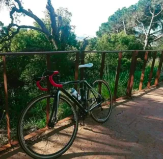 Bicicleta Ditec 890 SL Talla 48