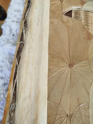 Álbum de fotos artesanal hojas secas