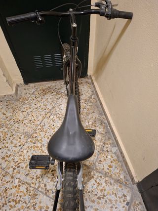 Bicicleta Jumpertrek K24