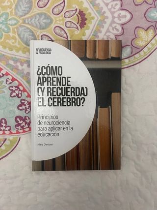 Neurociencia 25:¿Cómo aprende (y recuerda) el c...