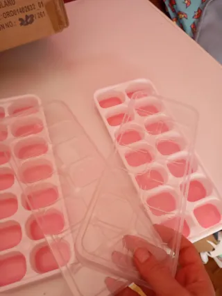 2 Cubiteras con tapa