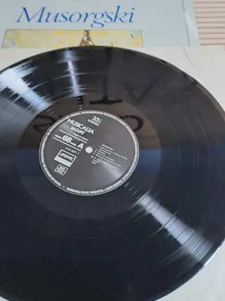 Disco Vinilo Musorgski - Salvat