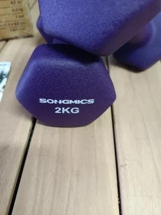 SONGMICS Juego 2 Mancuernas 2KG Morado Mate