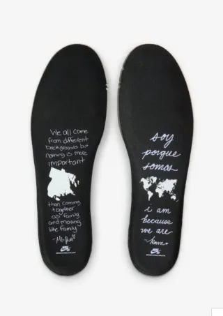 Nike SB Dunk low Bronx Girls Skate