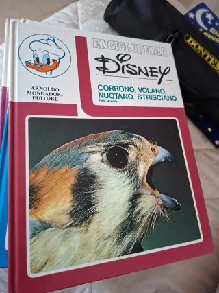 Enciclopedia Disney 1973