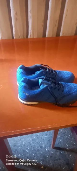 Zapatos de seguridad azules