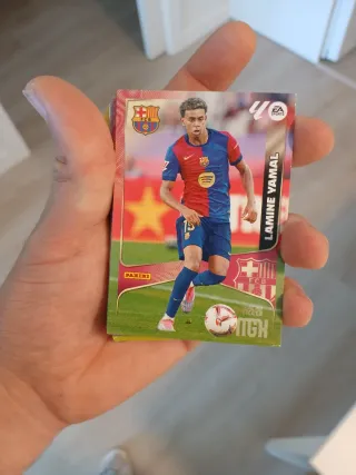 Cromos panini MGK 25-26