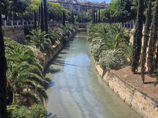 Piso en alquiler en Mercat  - La Missió - Plaça dels Patins en Palma de Mallorca
