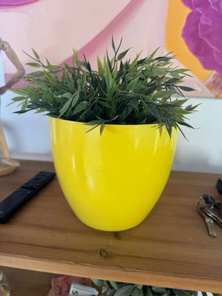 Planta artificial interior/exterior