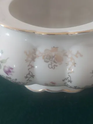 Ciotola in porcellana decorata