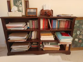 Librería García Ferrer de madera