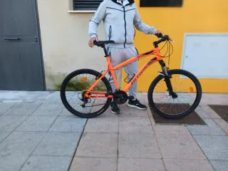 Bicicleta MTB Naranja