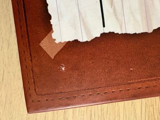 Diario Di Una Schiappa