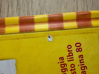 Diario Di Una Schiappa