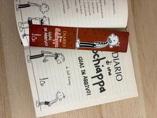 Diario Di Una Schiappa