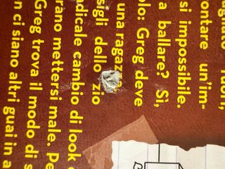 Diario Di Una Schiappa