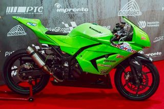 Asiento y respaldo espuma circuito