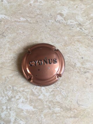 Botella de Cava Cygnus Deneb Vacía