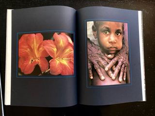 Revista Animan, Nature et Civilisations