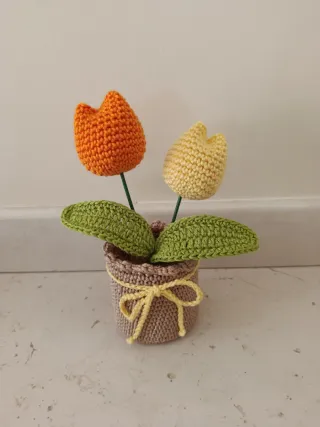 Piantina uncinetto decorativa