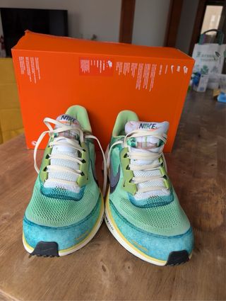 Nike Air Zoom Verde/Azul pegasus 41